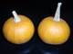 Two Small Pumpkins